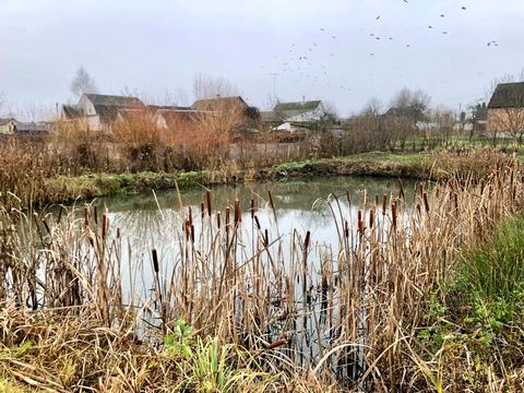 ділянка за адресою 