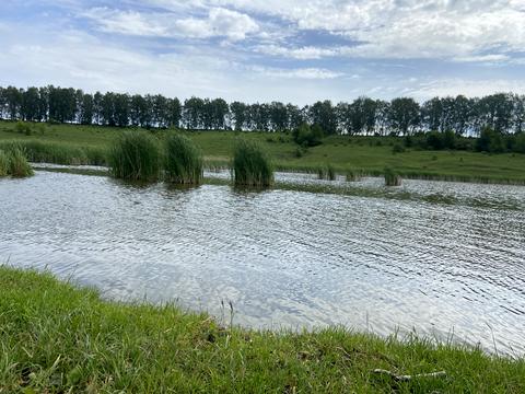 ділянка за адресою 