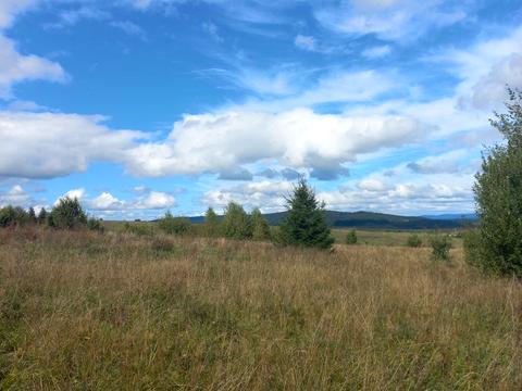 участок по адресу с. Верхний Туров, 