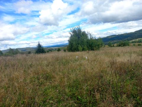 участок по адресу с. Верхний Туров, 