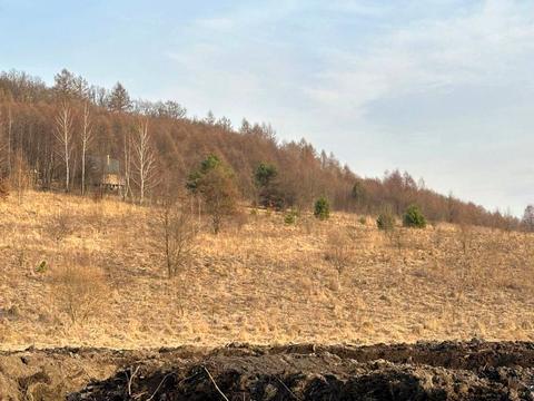 участок по адресу 