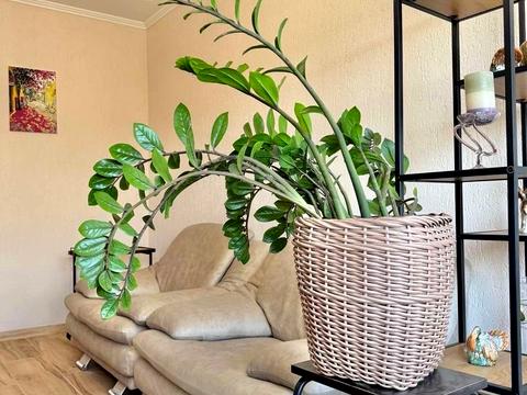 квартира за адресою Кривий Ріг, Новопокровська вул. (Фурманова), 5