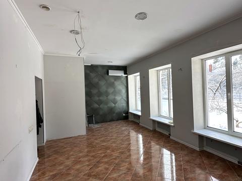 коммерческая по адресу Василя Стуса ул. (Пушкинская), 37а