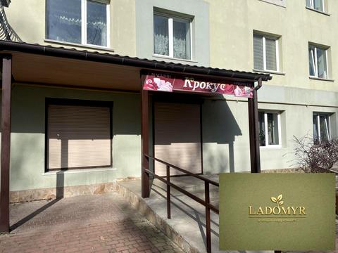 комерційна за адресою Старомильська, 25А