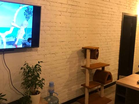 квартира за адресою Лугова вул., 36-А