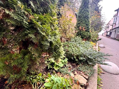 квартира по адресу Дача Ковалевского ул., 101