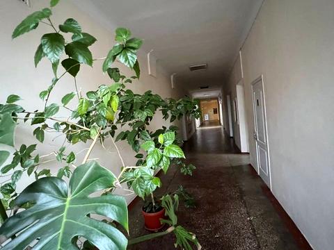 коммерческая по адресу Освобождения ул., 2