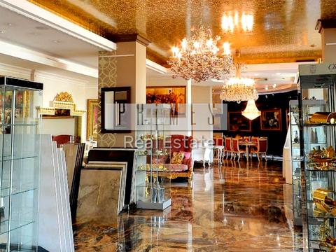 комерційна за адресою Лесі Українки бульв., 7-Б