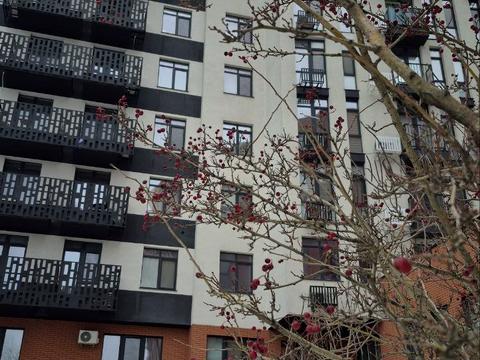 квартира по адресу Раскидайловская ул., 67б