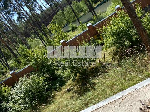 ділянка за адресою с. Плюти, Плютовська вул.