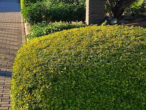 коммерческая по адресу Мрии ул. (Академика Туполева), 3-А