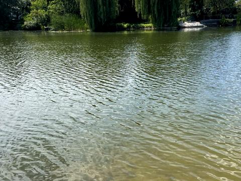 будинок за адресою 23-та Садова вул.