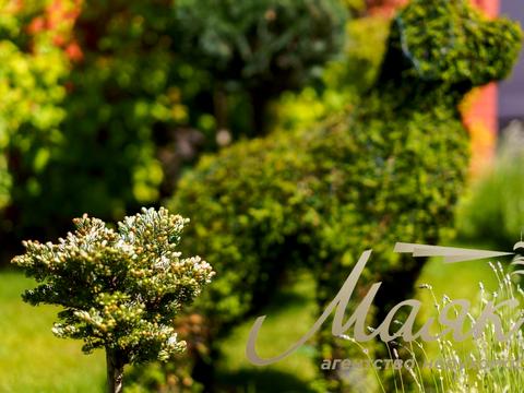 будинок за адресою смт. Козин, Старокиївська вул.