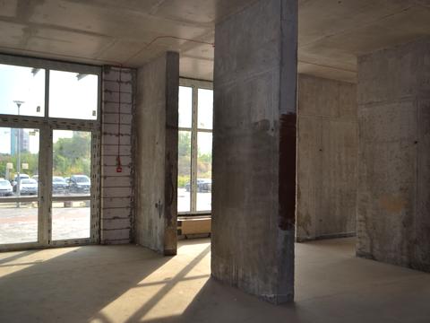 комерційна за адресою Олександра Олеся вул., 5-А