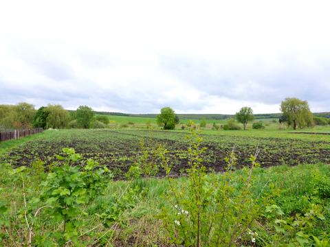 будинок за адресою Гайова, 49