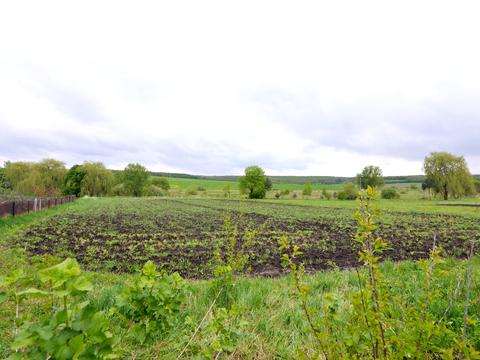 будинок за адресою Гайова, 49