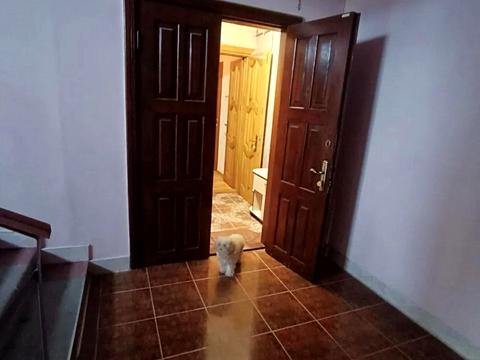 квартира по адресу Купальская ул., 2