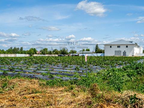 коммерческая по адресу Жовтнева, 22
