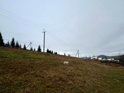 ділянка за адресою 