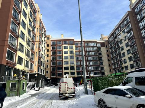 комерційна за адресою Василя Тарновського вул. (Пушкіна), 29