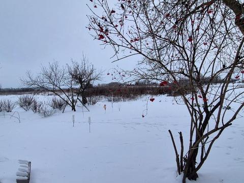 будинок за адресою Сотницька