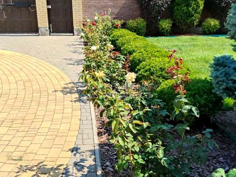 будинок за адресою вул.Лятошинського