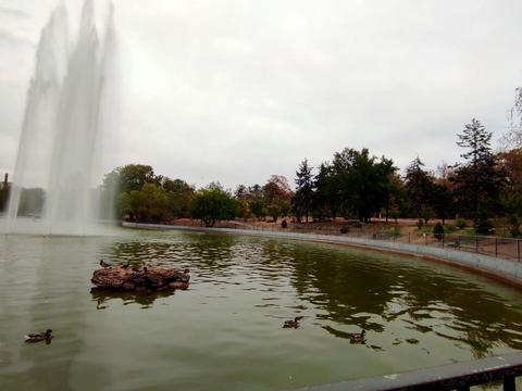 квартира за адресою Добровольців вул. (Маршала Говорова), 3а