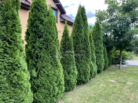 дом по адресу с. Великая Александровка, вул. Лесі Українки