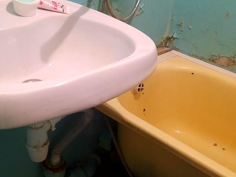 квартира за адресою Погранична вул. (Чигрина), 230