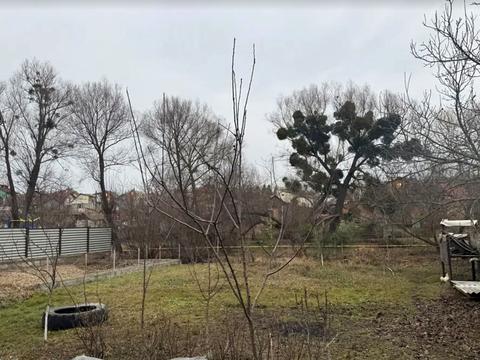 будинок за адресою Олени Теліги вул., 31