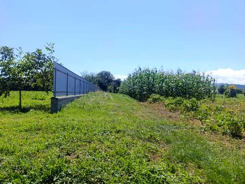 ділянка за адресою с. Мамаївці, 