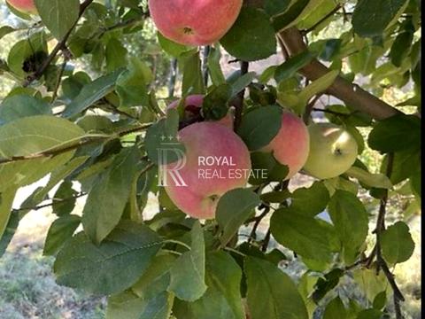 дом по адресу Молодіжна вул.