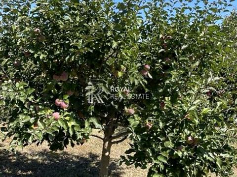 дом по адресу Молодіжна вул.