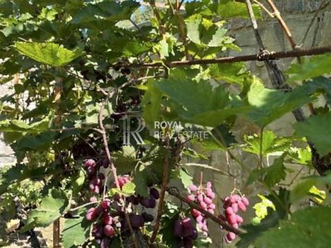 дом по адресу Молодіжна вул.