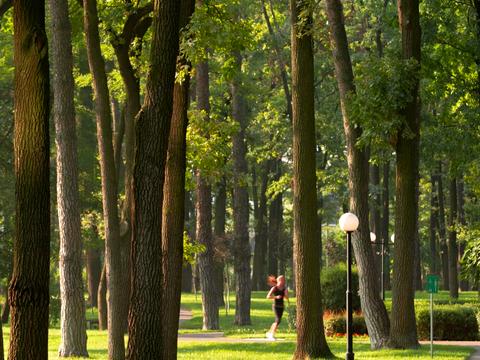 участок по адресу Давидчука ул.