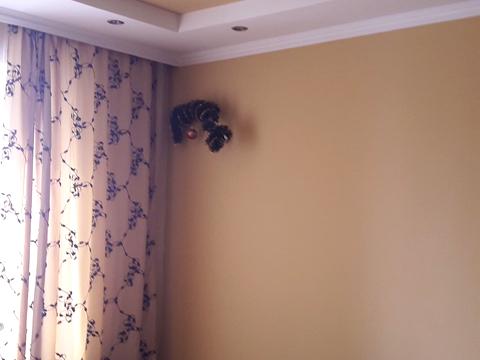 квартира за адресою Івана Кавалерідзе вул. (), 17