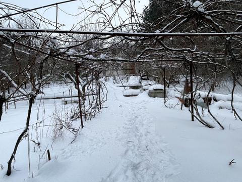 дом по адресу Сонячна, 40