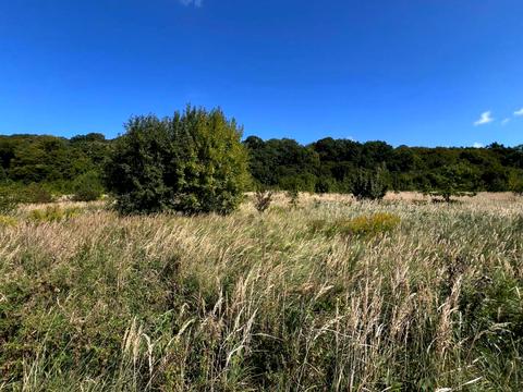 ділянка за адресою Дубовий Гай