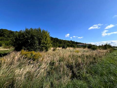 ділянка за адресою Дубовий Гай