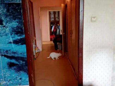 квартира за адресою Віктора Чукаріна вул., 30