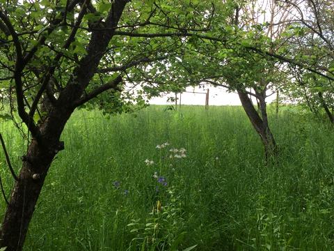 дом по адресу Жовтнева