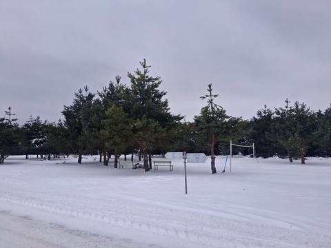 будинок за адресою Соснова