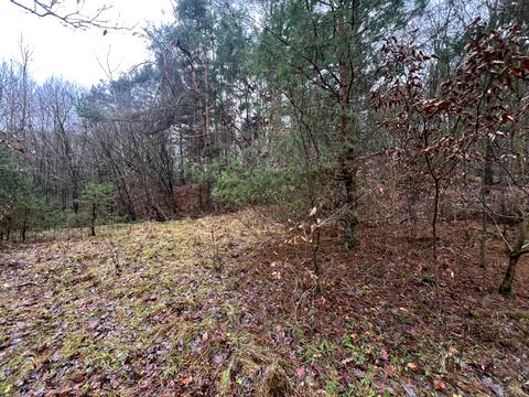 участок по адресу Замарстыновская ул. (Калинина)