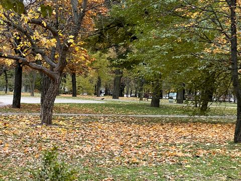 квартира за адресою Перемоги вул., 101