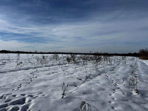 ділянка за адресою Сонячна