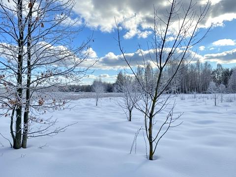 участок по адресу 