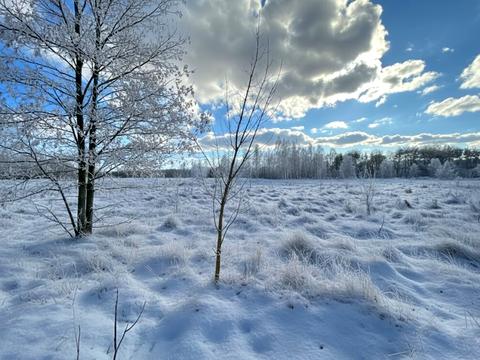 участок по адресу 