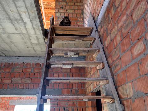 будинок за адресою Грушевського, 8