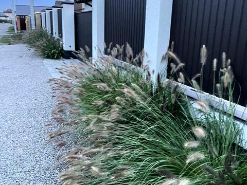 дом по адресу Шкіля, 30