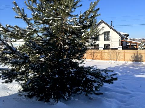 будинок за адресою Миколи Лисенка вул.